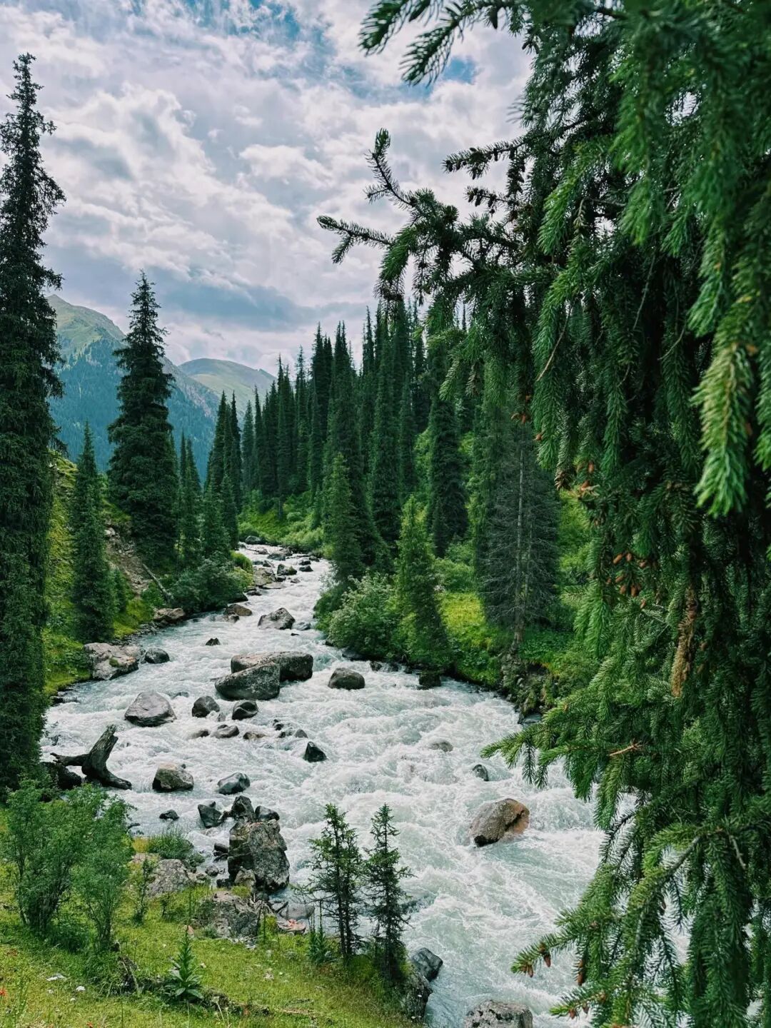 ba17520e04c2c0487af2508e9748d245.jpg